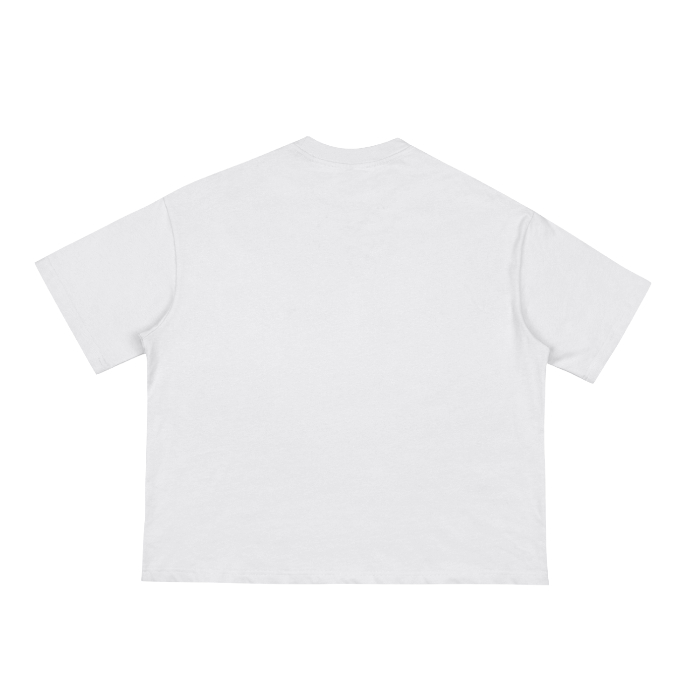 Looney Tunes Classic Boxy Tee